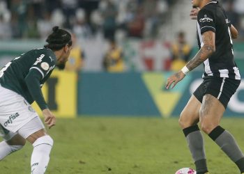 Palmeiras recebe Botafogo no grande jogo da 12ª rodada do Brasileiro