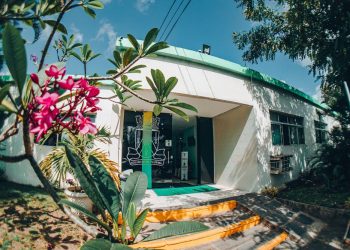 Prefeitura de Campina Grande convoca profissionais da Educação aprovados no Processo Seletivo para a Clínica do Autismo