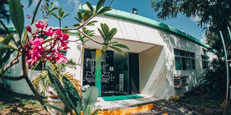 Prefeitura de Campina Grande convoca profissionais da Educação aprovados no Processo Seletivo para a Clínica do Autismo