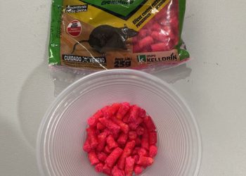 EM CUITÉ: Polícias Civil e Militar prendem em flagrante mulher que tentou matar a própria filha por envenenamento