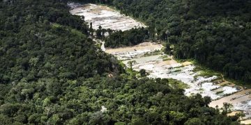 Força-tarefa destrói dez garimpos ilegais na Amazônia