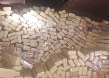 Guerra às drogas custa R$ 15 bilhões por ano em recursos públicos