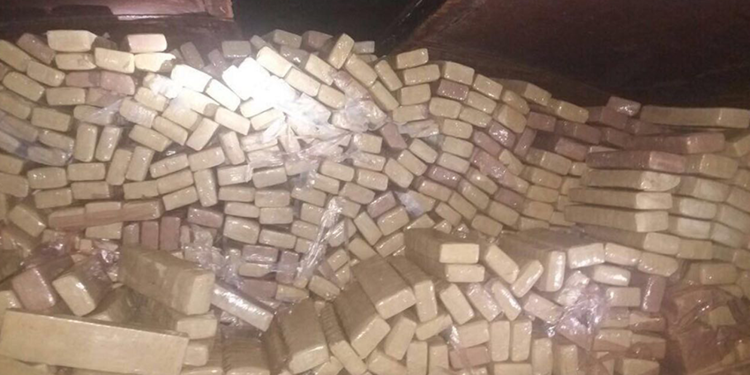 Guerra às drogas custa R$ 15 bilhões por ano em recursos públicos