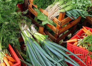 Câmara aprova recriação de Programa de Aquisição de Alimentos