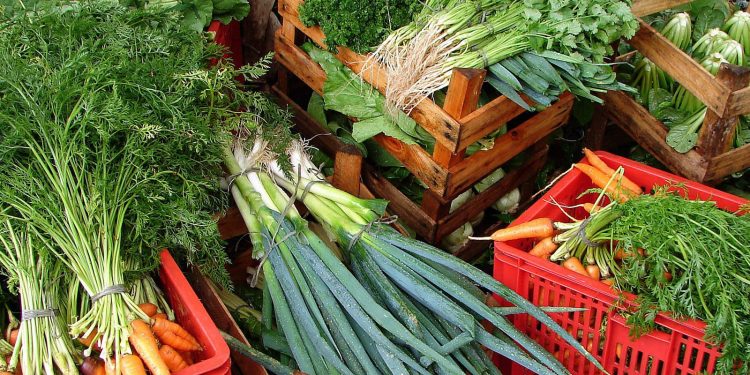 Câmara aprova recriação de Programa de Aquisição de Alimentos