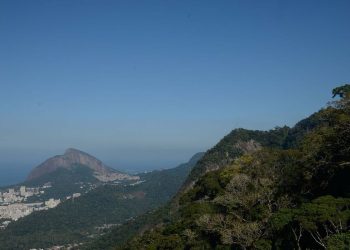 Parque Nacional da Tijuca completa 62 anos