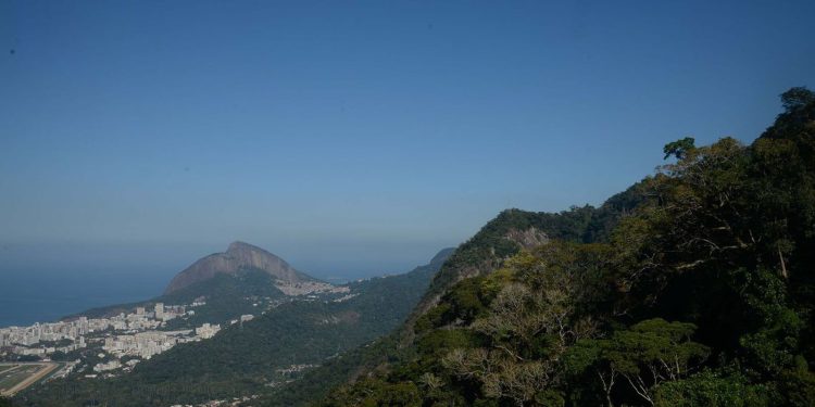Parque Nacional da Tijuca completa 62 anos