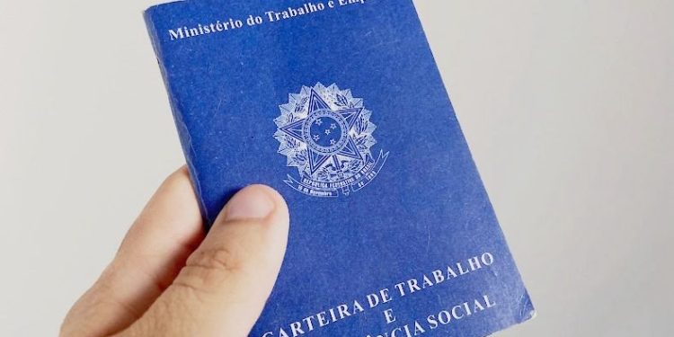 Sebrae aponta: Pequenos negócios são responsáveis por 75% da geração de empregos na PB