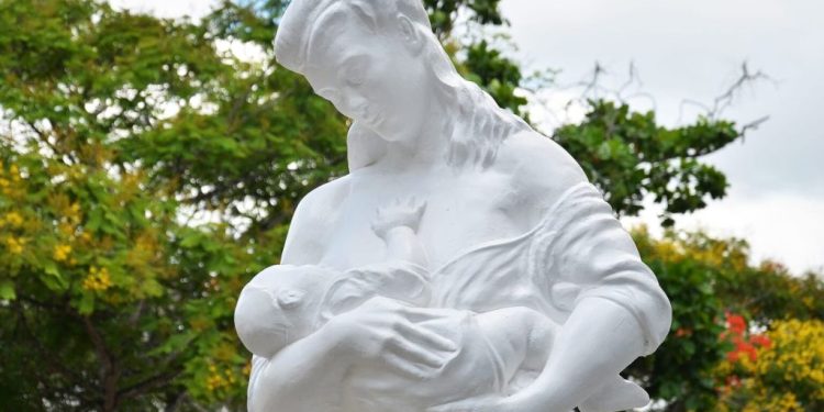 ISEA promove entrega voluntária de recém-nascidos em política de adoção legal