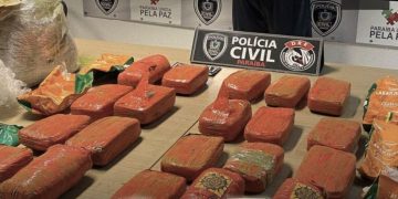 JOÃO PESSOA: Polícia Civil prende em flagrante homem que recebeu 20 quilos de maconha enviada do Paraná