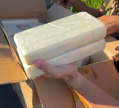 INVESTIGAÇÃO: Polícia Civil apreende 25 quilos de cocaína e prende suspeito de tráfico na BR-230