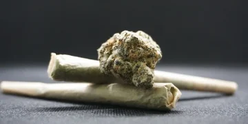 JOÃO PESSOA: Polícia Civil prende investigado com arma e porções de cocaína, maconha e raxixe