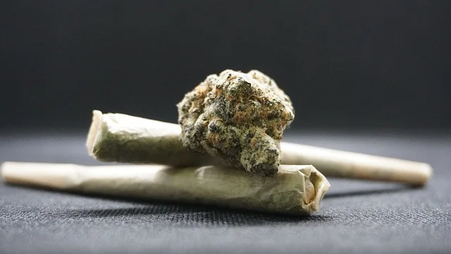 JOÃO PESSOA: Polícia Civil prende investigado com arma e porções de cocaína, maconha e raxixe JOÃO PESSOA: Polícia Civil prende investigado com arma e porções de cocaína, maconha e raxixe