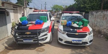Polícia apreende cerca de 100 quilos de drogas e 33 armas de fogo durante o fim de semana na Paraíba