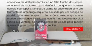 POLÍCIA MILITAR APREENDE DUAS ARMAS DE FOGO EM OCORRÊNCIA DE VIOLÊNCIA DOMÉSTICA EM MATUREIA