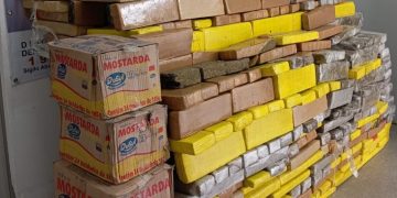 MAIS DE 1 TONELADA: Com apreensão da DRACO, Polícia Civil passa de mil quilos de drogas apreendidos nos últimos cinco meses
