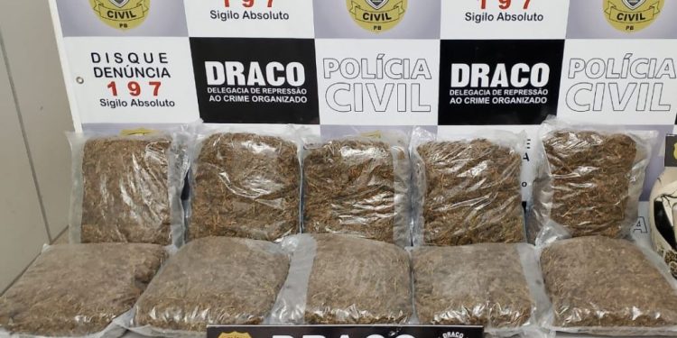 PCPB NO CARNAVAL: Em 72 horas, já são quase 100 quilos de drogas apreendidas, entre cocaína e maconha