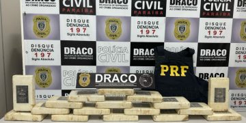 INVESTIGAÇÃO: Operação policial apreende mais 17 tabletes de cocaína pura em Monteiro