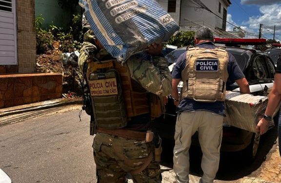EM GUARABIRA: Polícia Civil investiga ‘mercadinho do tráfico’ e apreende mais de 60 quilos de maconha