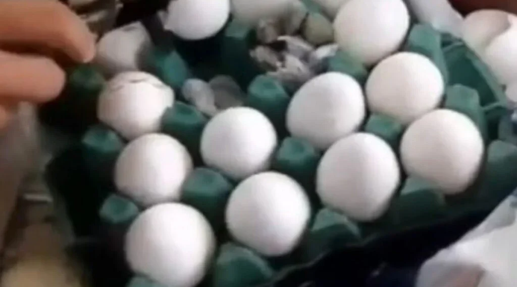 Maconha é apreendida dentro de ovos no Presídio de Igarassu-PE